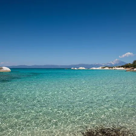 Thomai's Sykia Chalkidikis